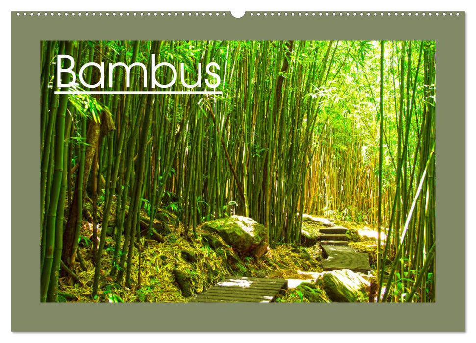 Bambus (CALVENDO Wandkalender 2027)