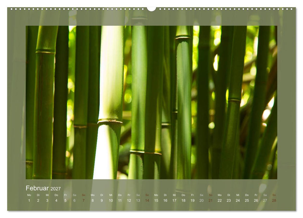 Bambus (CALVENDO Wandkalender 2027)
