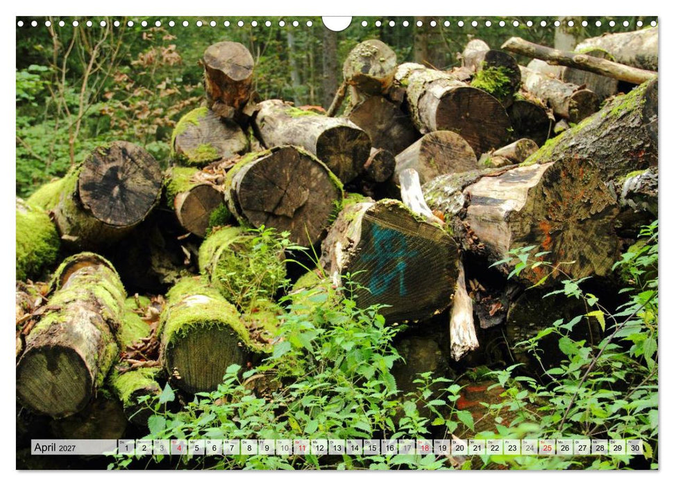 HOLZ - Stapel und Stämme (CALVENDO Wandkalender 2027)