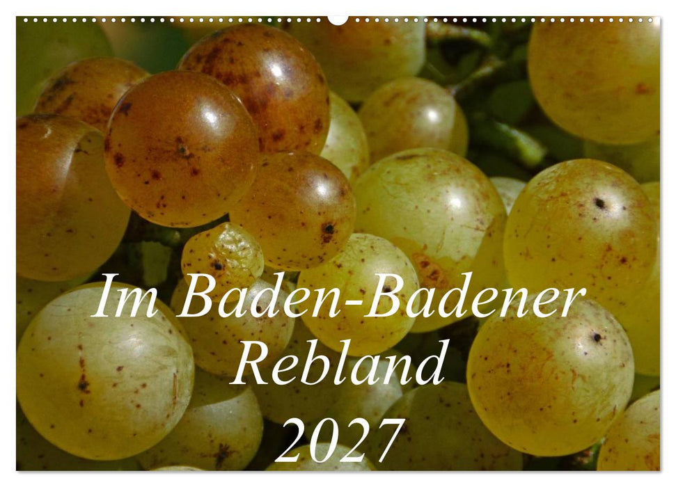 Im Baden-Badener Rebland 2027 (CALVENDO Wandkalender 2027)