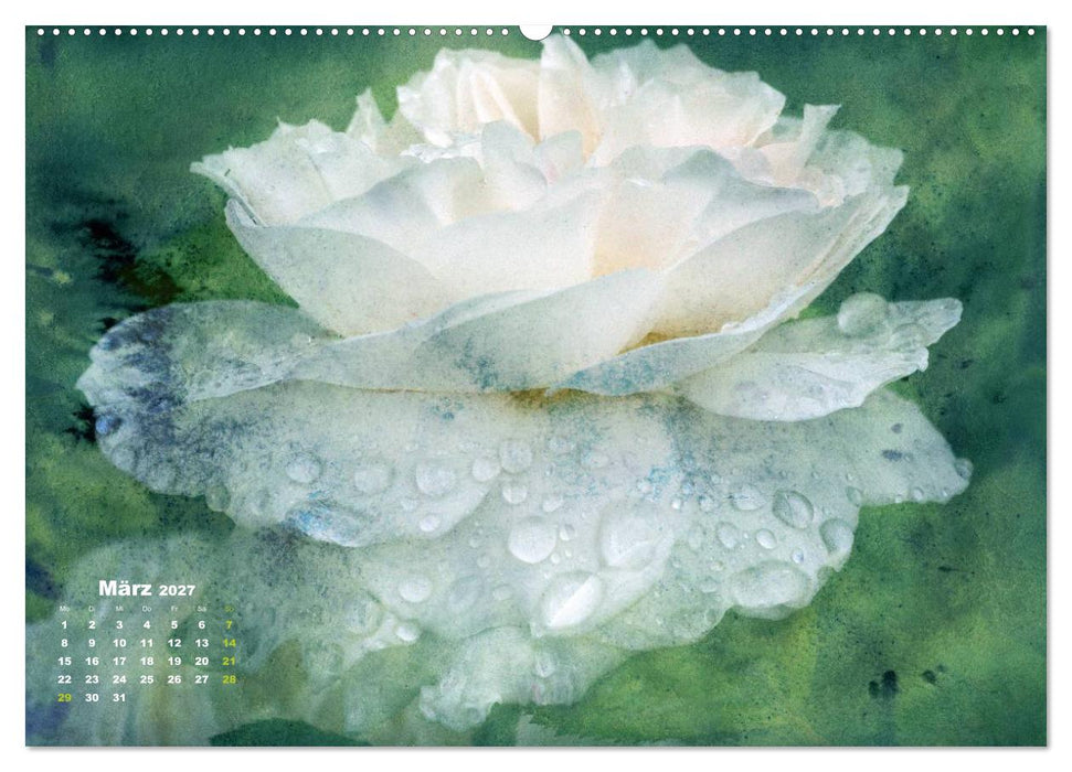 Rosen Romantik (CALVENDO Wandkalender 2027)