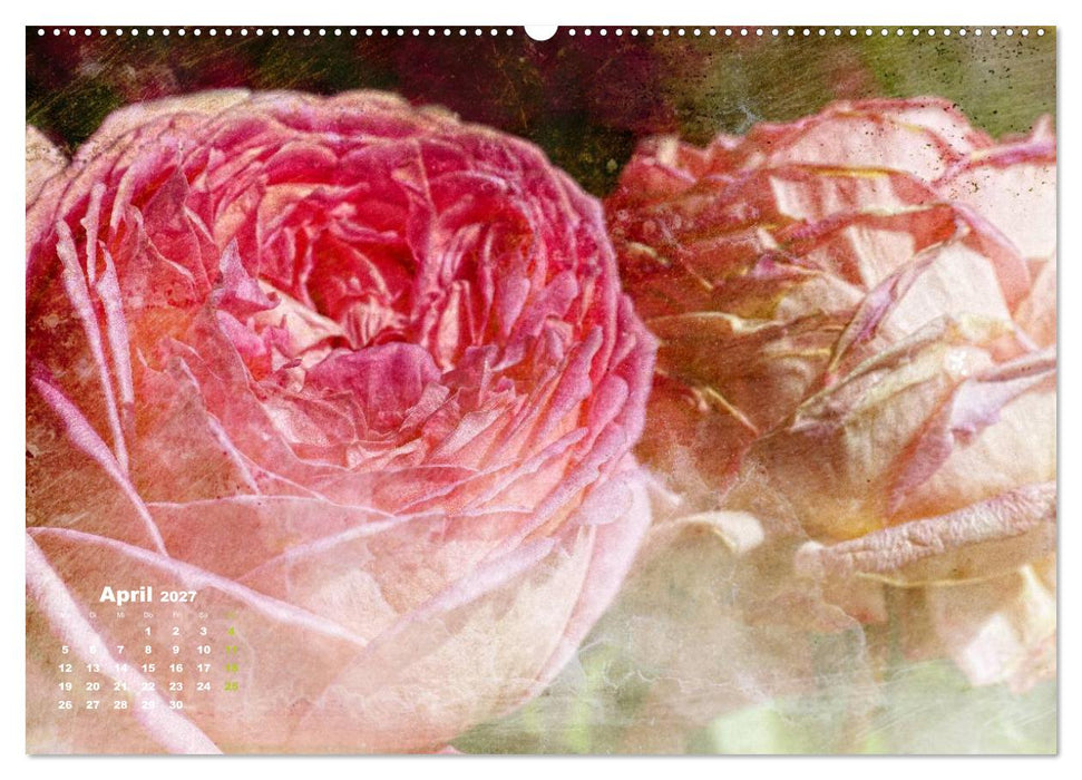 Rosen Romantik (CALVENDO Wandkalender 2027)