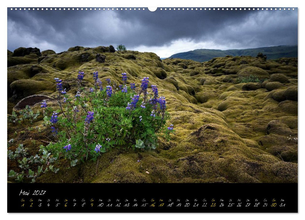 ISLAND - Traumlandschaften (CALVENDO Wandkalender 2027)