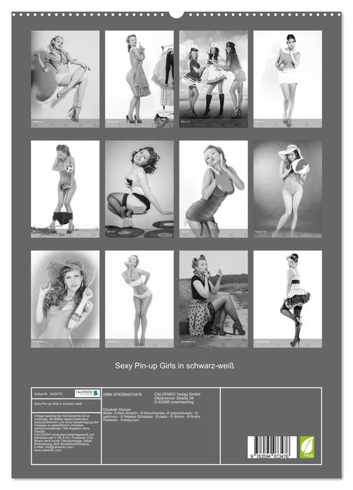Sexy Pin-up Girls in schwarz-weiß (CALVENDO Premium Wandkalender 2027)