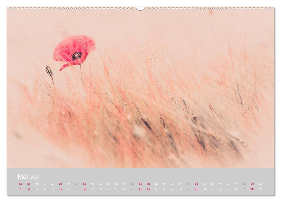 Zauber des Mohns (CALVENDO Wandkalender 2027)