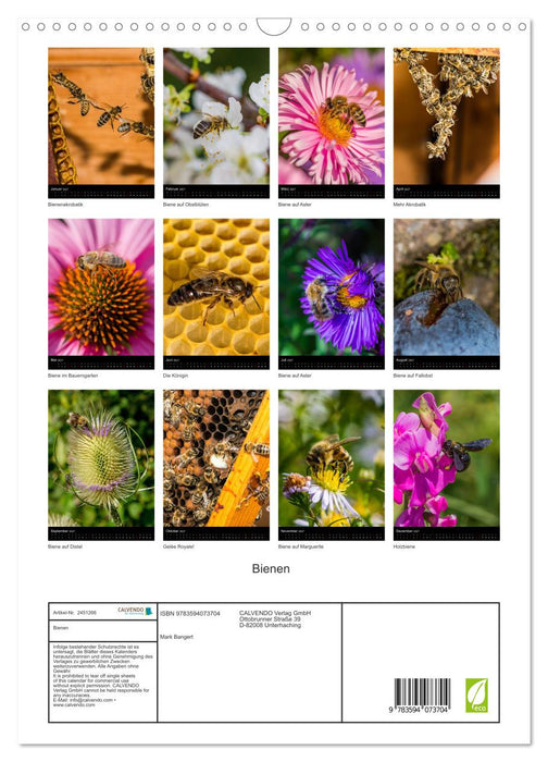 Bienen (CALVENDO Wandkalender 2027)