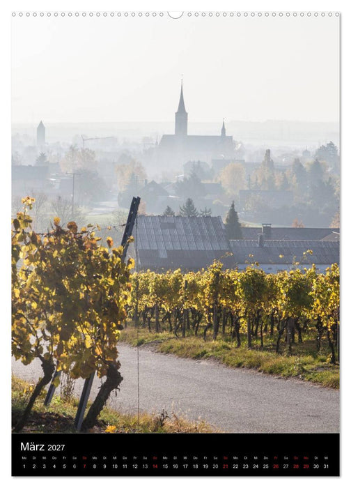 Iphofen - Wein und Kultur (CALVENDO Wandkalender 2027)