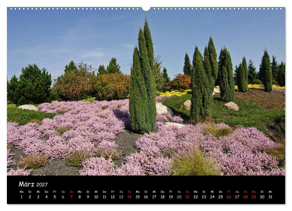 Findlingspark Nochten 2027 (CALVENDO Wandkalender 2027)