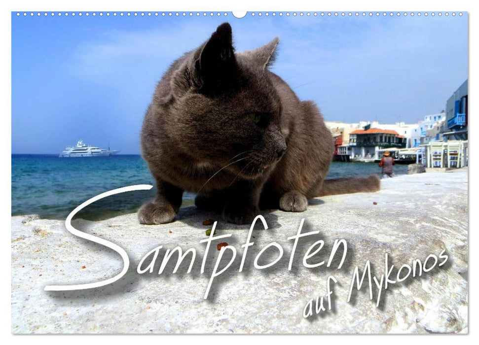 SAMTPFOTEN auf Mykonos (CALVENDO Wandkalender 2027)