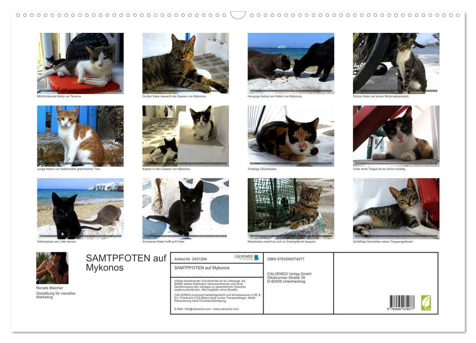 SAMTPFOTEN auf Mykonos (CALVENDO Wandkalender 2027)