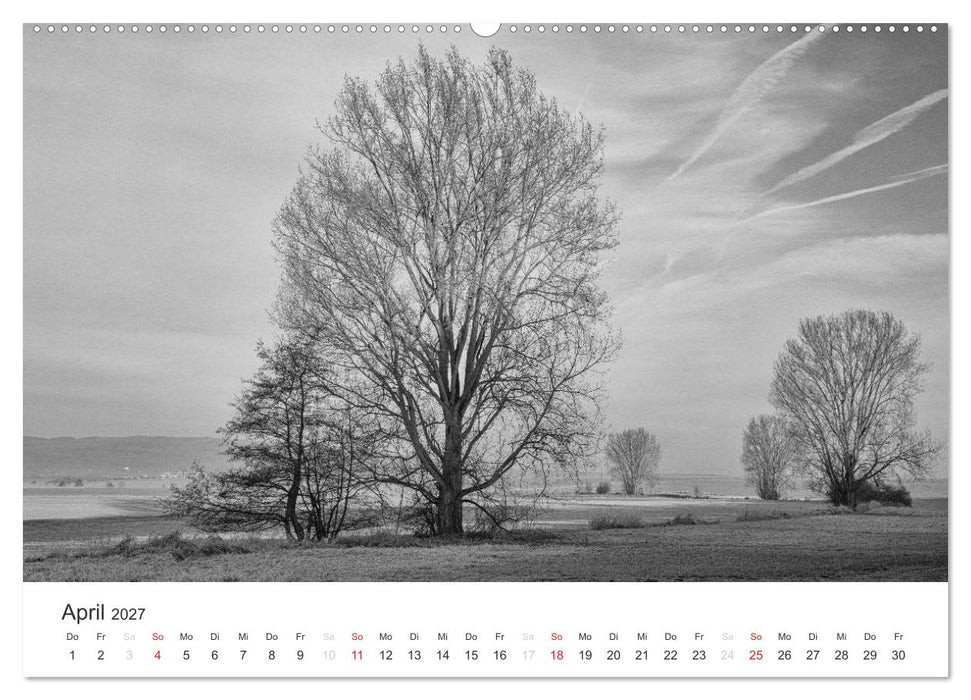 Bäume - Naturschönheiten in schwarz-weiß (CALVENDO Wandkalender 2027)