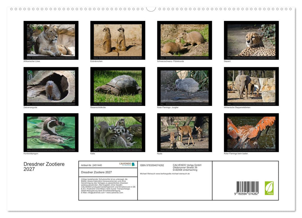 Dresdner Zootiere 2027 (CALVENDO Premium Wandkalender 2027)