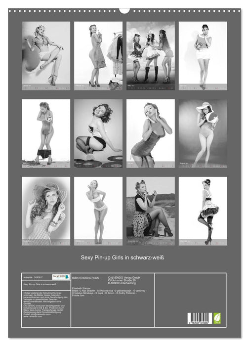 Sexy Pin-up Girls in schwarz-weiß (CALVENDO Wandkalender 2027)