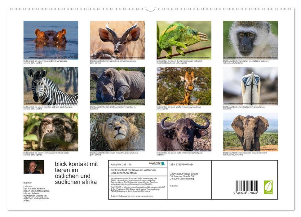 blick kontakt mit tieren im östlichen und südlichen afrika (CALVENDO Premium Wandkalender 2027)