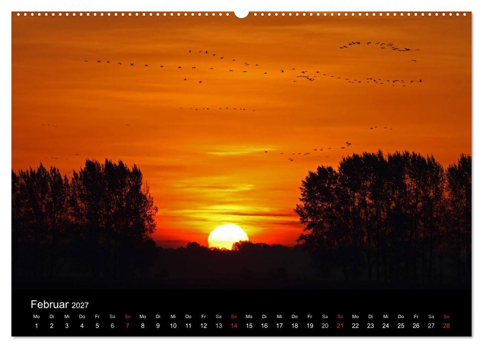 Kranich-Land Brandenburg (CALVENDO Wandkalender 2027)