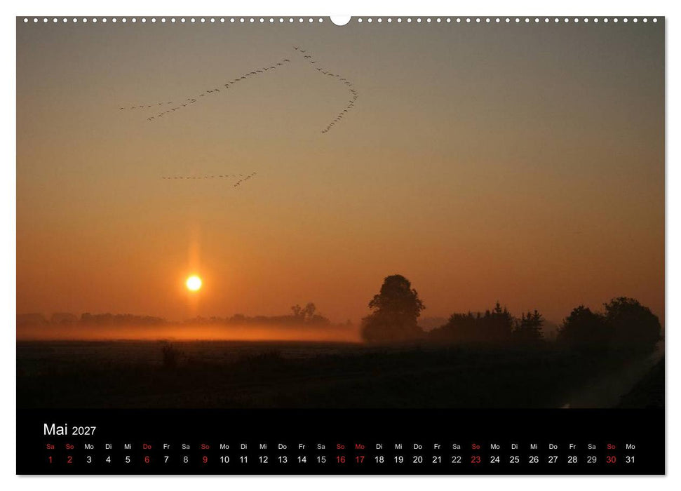 Kranich-Land Brandenburg (CALVENDO Wandkalender 2027)
