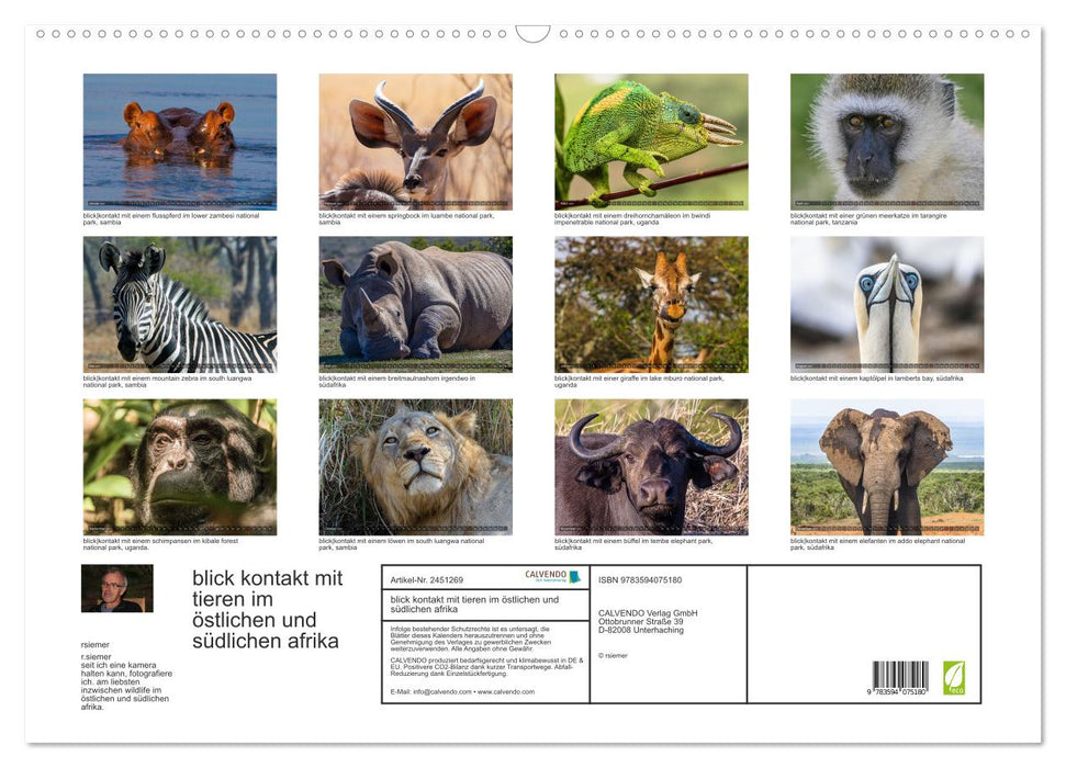 blick kontakt mit tieren im östlichen und südlichen afrika (CALVENDO Wandkalender 2027)