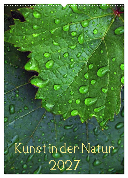 Kunst in der Natur (CALVENDO Wandkalender 2027)