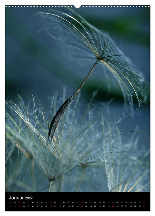 Kunst in der Natur (CALVENDO Wandkalender 2027)