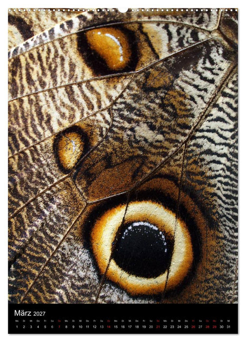 Kunst in der Natur (CALVENDO Wandkalender 2027)