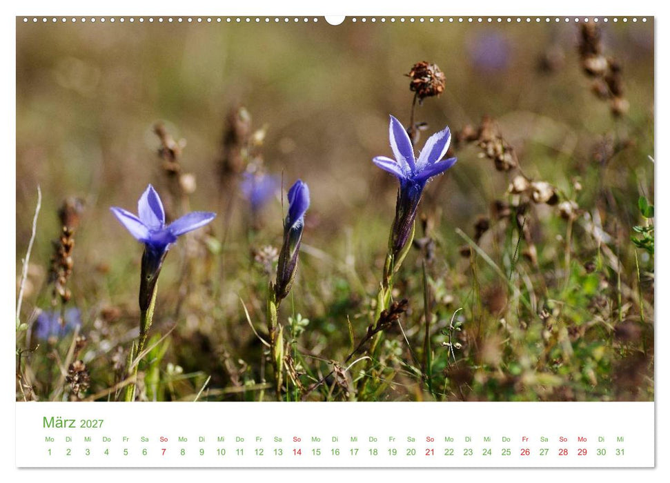 Bergwelt in Österreich (CALVENDO Wandkalender 2027)