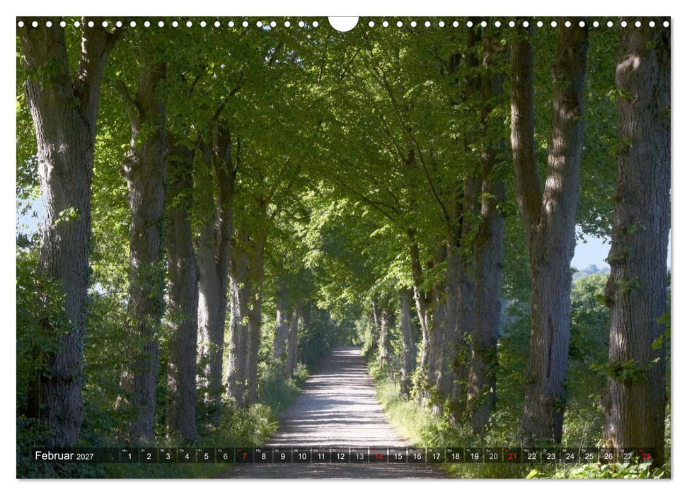 Naturpark Holsteinische Schweiz (CALVENDO Wandkalender 2027)