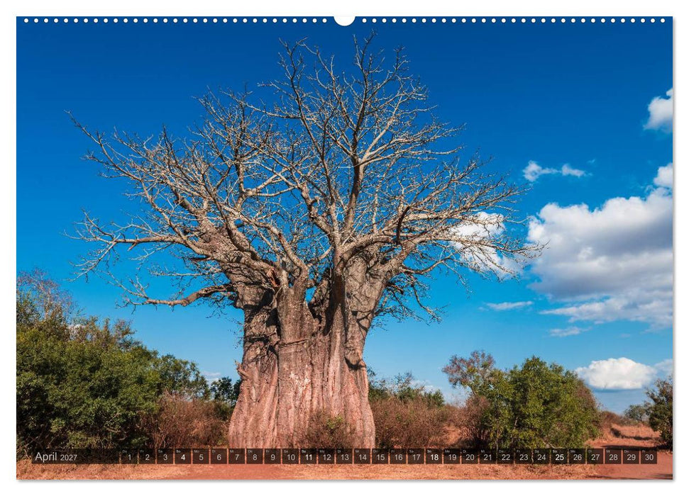 Südafrika - Die Landschaft (CALVENDO Wandkalender 2027)