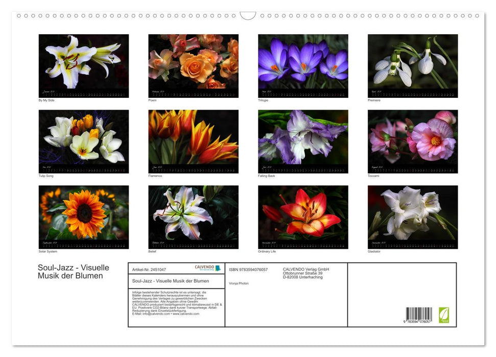 Soul-Jazz - Visuelle Musik der Blumen (CALVENDO Wandkalender 2027)