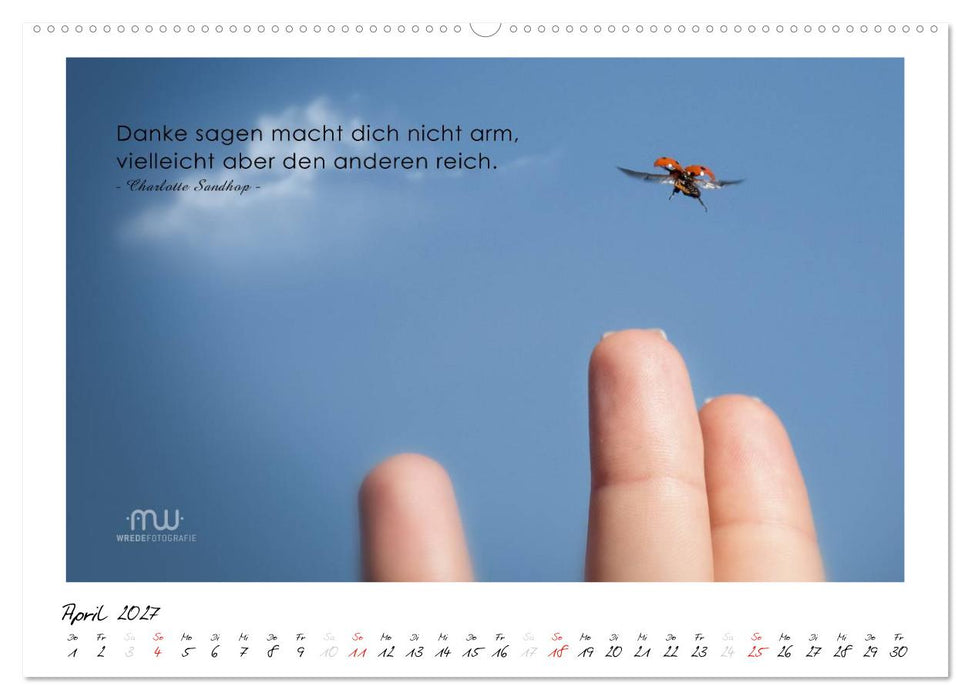 Gedanken... Bildkalender mit Sprüchen (CALVENDO Wandkalender 2027)