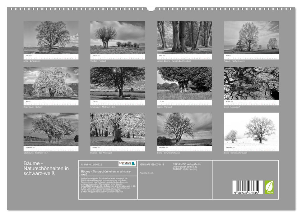 Bäume - Naturschönheiten in schwarz-weiß (CALVENDO Premium Wandkalender 2027)