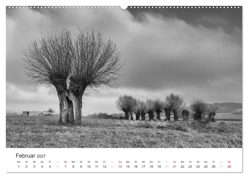 Bäume - Naturschönheiten in schwarz-weiß (CALVENDO Premium Wandkalender 2027)