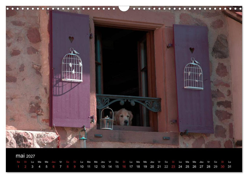 Détails d'Alsace (CALVENDO Calendrier mensuel 2027)