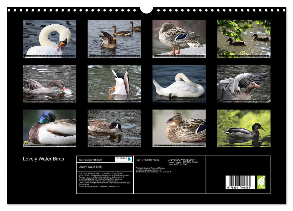 Lovely Water Birds (CALVENDO Monthly Calendar 2027)