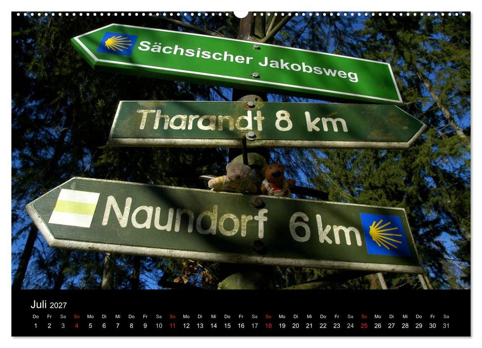 Der Bärchenkalender 2027 (CALVENDO Premium Wandkalender 2027)
