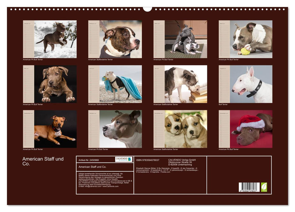 American Staff und Co. (CALVENDO Wandkalender 2027)