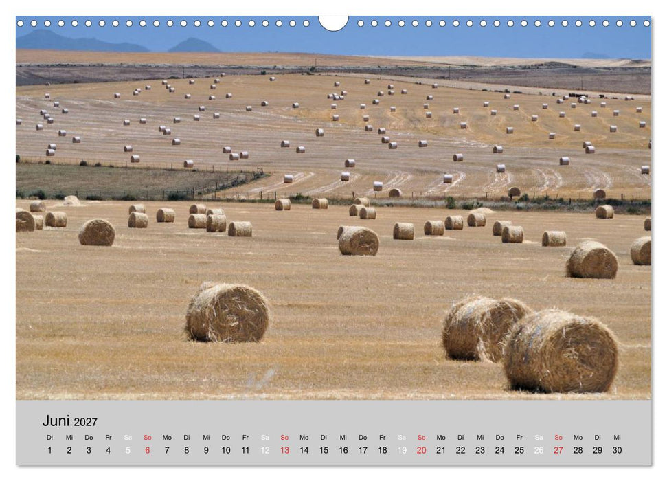 Momente in Südafrika (CALVENDO Wandkalender 2027)