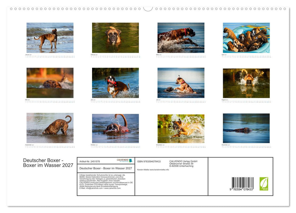 Deutscher Boxer - Boxer im Wasser 2027 (CALVENDO Premium Wandkalender 2027)