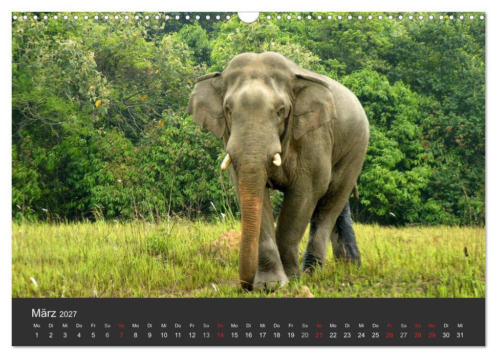 Thailand - exotisch und faszinierend (CALVENDO Wandkalender 2027)