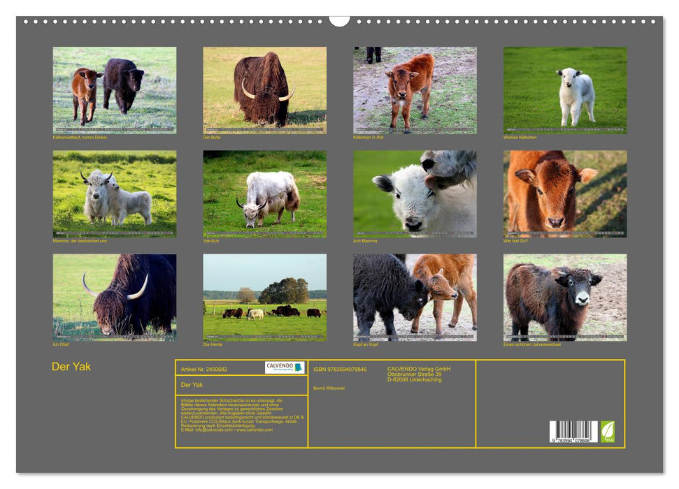 Der Yak (CALVENDO Wandkalender 2027)