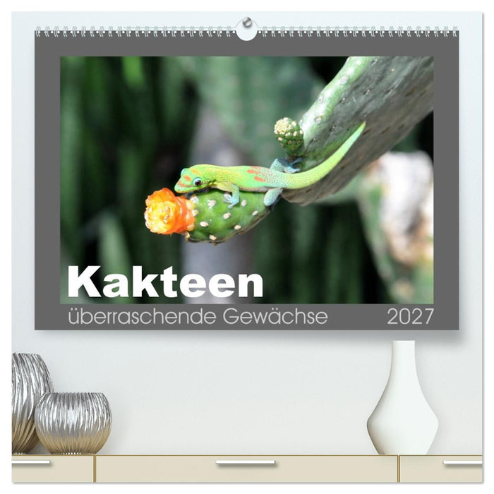 Kakteen - überraschende Gewächse (CALVENDO Premium Wandkalender 2027)