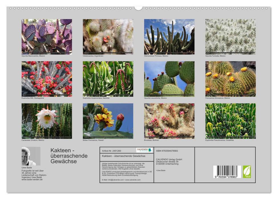 Kakteen - überraschende Gewächse (CALVENDO Premium Wandkalender 2027)