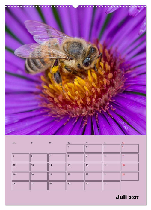 Bienenplaner (CALVENDO Premium Wandkalender 2027)