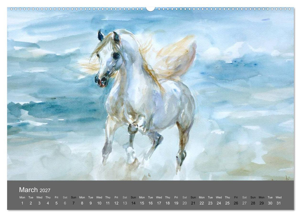 Horses in four seasons 2027 (CALVENDO Premium-Calendar 2027)
