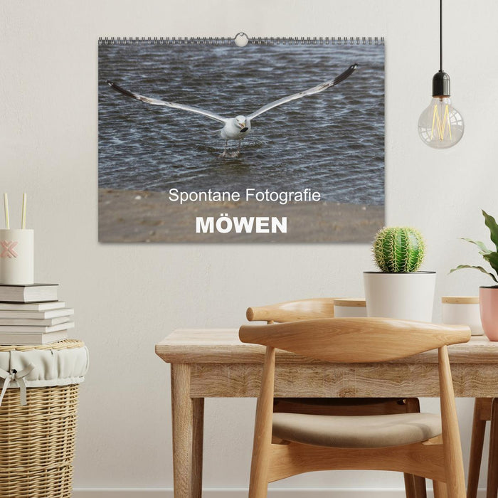 Spontane Fotografie - Möwen (CALVENDO Wandkalender 2027)