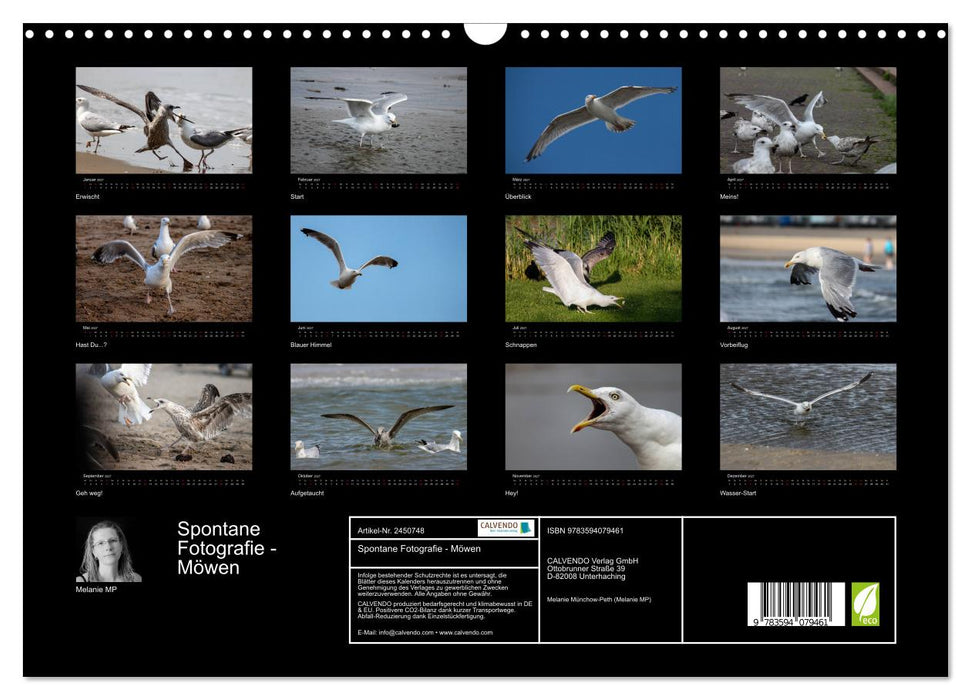 Spontane Fotografie - Möwen (CALVENDO Wandkalender 2027)