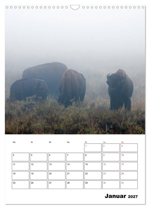 Yellowstone und Grand Tetons Nationalparks (CALVENDO Wandkalender 2027)