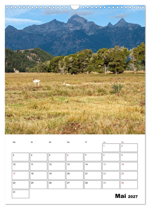 Yellowstone und Grand Tetons Nationalparks (CALVENDO Wandkalender 2027)