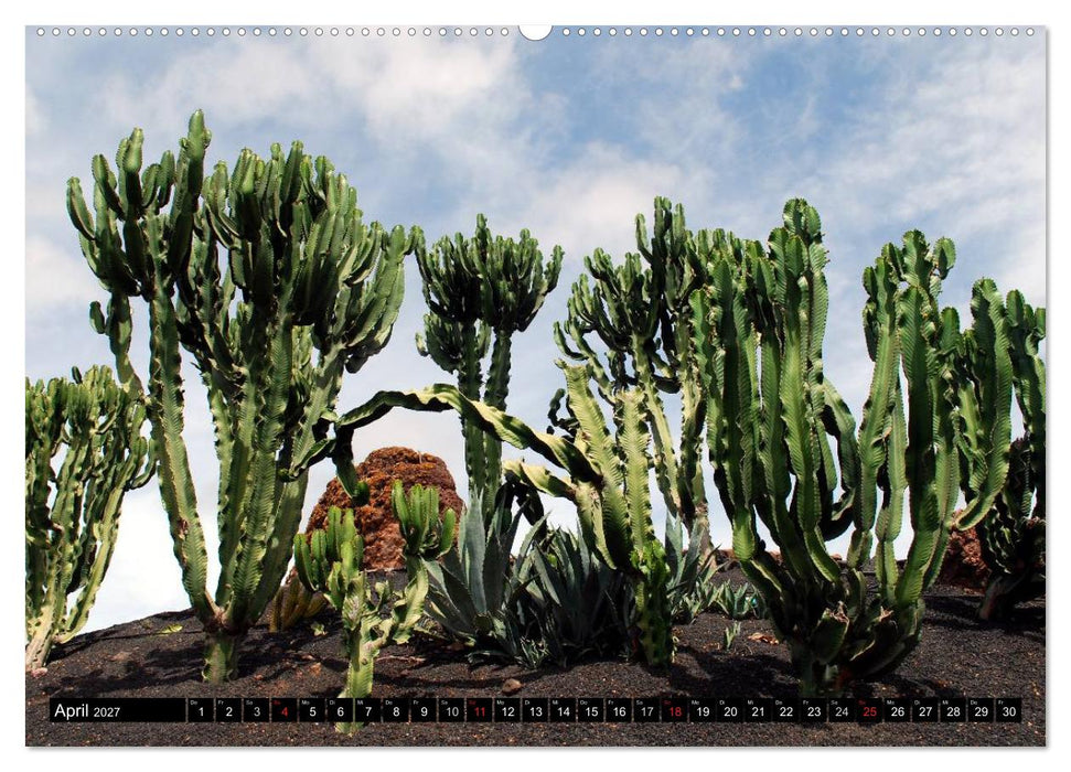 Lanzarote - Kanarische Inseln (CALVENDO Wandkalender 2027)