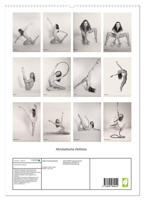 Akrobatische Aktfotos (CALVENDO Premium Wandkalender 2027)
