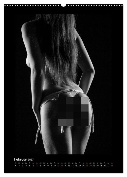Anonymer Akt (CALVENDO Premium Wandkalender 2027)